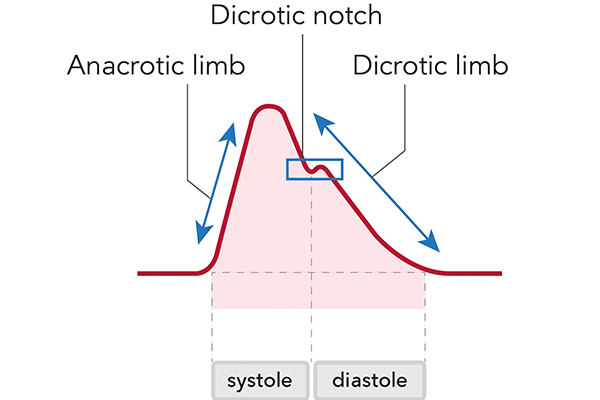 Grafico della tecnologia basata sull'algoritmo PulseCO™ 